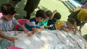 بازی در حیاط  26